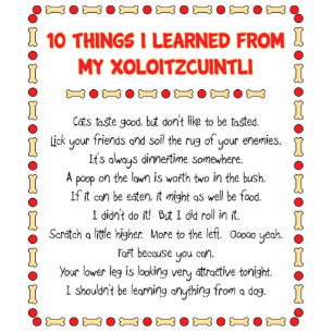 Photo Sculpture Choses drôles I appris de mon Xoloitzcuintli