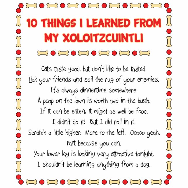 Photo Sculpture Choses drôles I appris de mon Xoloitzcuintli (Devant)