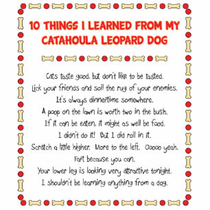 Photo Sculpture Choses drôles I appris du chien de léopard de