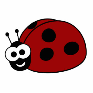 Photo Sculpture Coccinelle