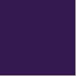 Photo Sculpture color Russian violet<br><div class="desc">color Russian violet 32174D</div>