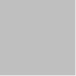 Photo Sculpture couleur argent<br><div class="desc">couleur argent C0C0C0</div>