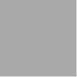 Photo Sculpture couleur gris foncé<br><div class="desc">couleur gris foncé A9A9A9</div>