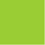 Photo Sculpture couleur jaune vert<br><div class="desc">couleur jaune vert 9ACD32</div>