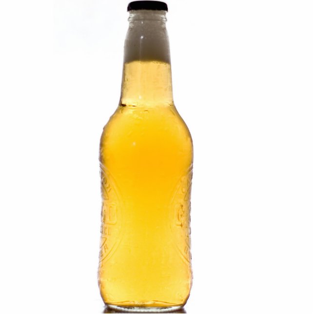 Photo Sculpture Coupe-circuit de bouteille à bière (Devant)