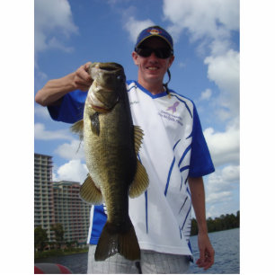 Photo Sculpture Coupe de la coutume 3D de vos poissons