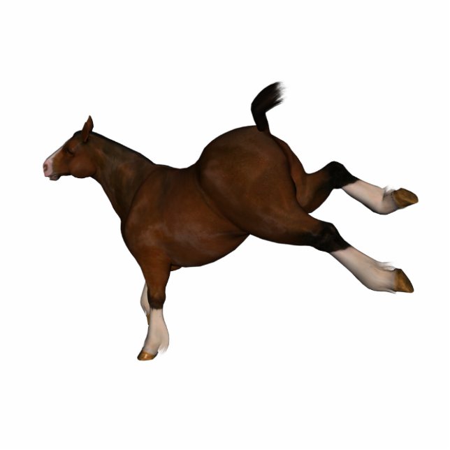 Photo Sculpture coups de pied du cheval (Devant)