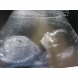 Photo Sculpture Créez votre propres aimant, porte - clés et plus !