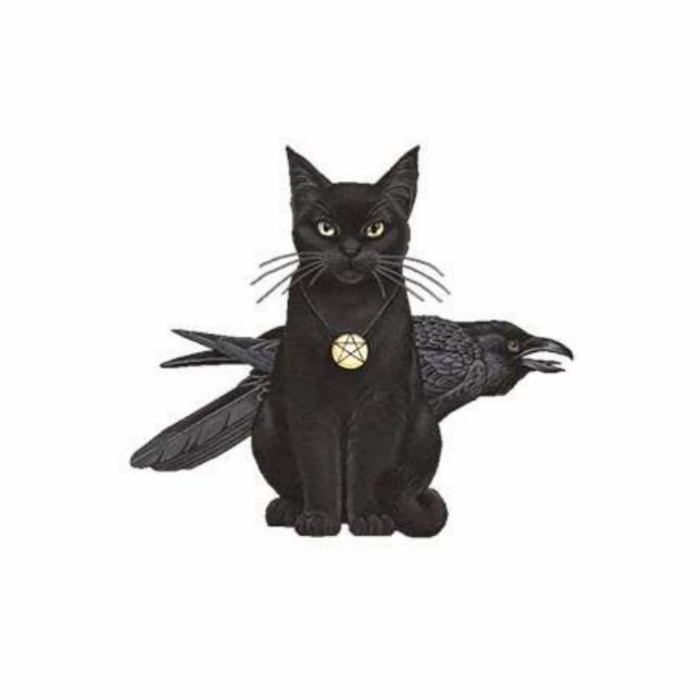 Photo Sculpture Crowfeather (Devant)