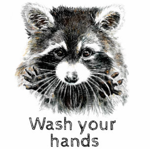 Photo Sculpture Cuisine salle de bain Lavez vos mains Raccoon Anim
