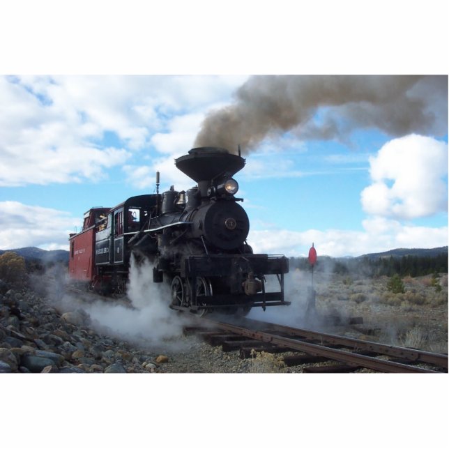 Photo Sculpture Cuisson à la vapeur le long de l'ornement (Devant)