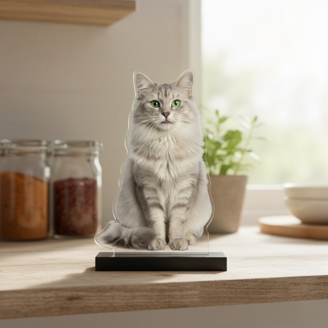 Photo Sculpture Custom Acrylic Cat Photo Cutout Statue (Custom Acrylic Cat Photo Cutout Statue)