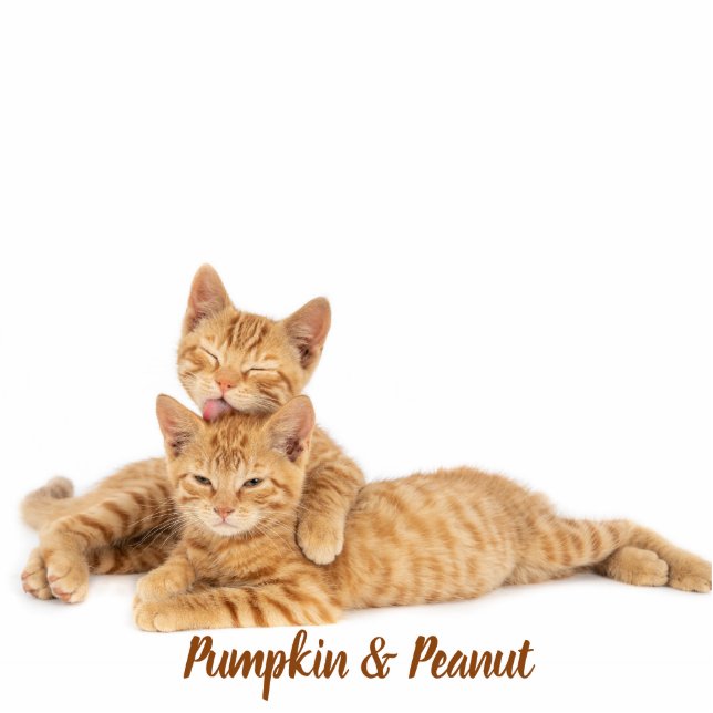 Photo Sculpture Custom Pet Keepsake Using Your Photo Name (Devant)