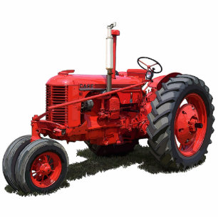 PHOTO SCULPTURE DC COQUE