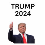 Photo Sculpture Donald Trump 2024<br><div class="desc">J'adore quand je me réveille le matin et que Donald Trump est président !</div>
