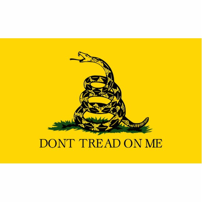 Photo Sculpture Dont Tread On Me - Drapeau Gadsden (Devant)