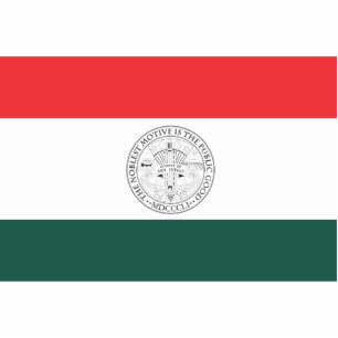 Photo Sculpture Drapeau du comté de San Diego