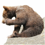 Photo Sculpture du grizzli ourson 5x7<br><div class="desc">Photo Sculpture de grizzli ourson cub 5x7 Créée par Baissandmore</div>