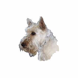 Photo Sculpture Écossais Terrier (blond comme les blés)