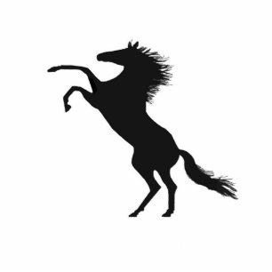 Photo Sculpture Élevage du cheval