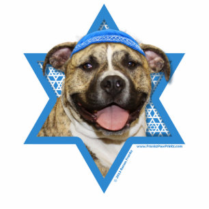 Photo Sculpture Étoile de David de Hanoukka - Pitbull - Tigger