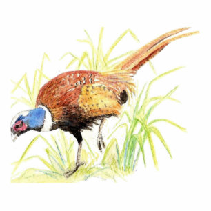 Photo Sculpture Faisan, porte-clés, Onament, aimant, ou Pin