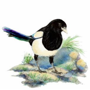 Photo Sculpture Faune d'oiseau de pie d'aquarelle, nature,