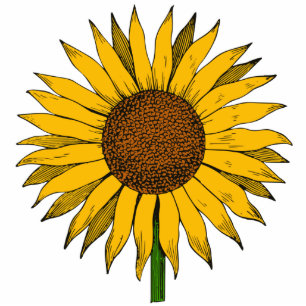 Photo Sculpture Fleur jaune tournesol