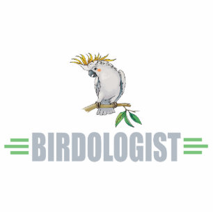 Photo Sculpture Funny Cockatiel