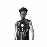 Photo Sculpture Gilet d'aile de faucon<br><div class="desc">Sculpture en photo</div>