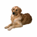 Photo Sculpture Golden retriever<br><div class="desc">Cette sculpture en photo est d'un beau golden retriever. Vous pouvez customiser cette conception et la commander dans une série de tailles. Cette conception de golden retriever est également disponible en tant que le magnet formée, de coupe-circuit, les ornements, les goupilles et porte - clés.</div>