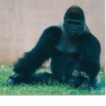 PHOTO SCULPTURE GORILLE DE SILVERBACK<br><div class="desc">GORILLE DE SILVERBACK</div>