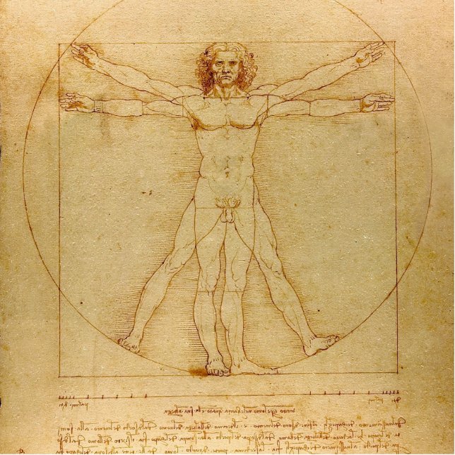 Photo Sculpture Homme vitruvien par Leonardo Da Vinci (Devant)