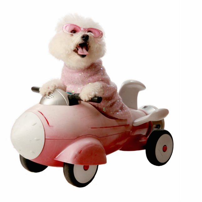 PHOTO SCULPTURE IMG_9656-F1 (Devant)