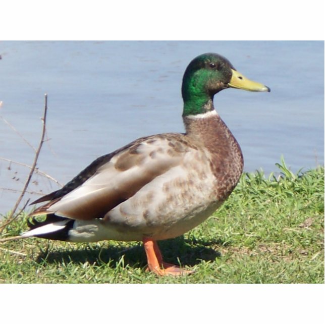 Photo Sculpture Joli garçon (Devant)