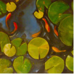 Photo Sculpture Koi de petit poisson rouge dans l'étang avec Lily<br><div class="desc">Petite Poisson d'or dans l'étang avec Lily Pads N'aimez-vous pas regarder dans un étang de lis et y voir quelques poissons rouges ou koi nager ? Les poissons de koi de natation sont si mignons ! C'est le cadeau koi parfait pour le collectionneur de poissons rouges dans votre vie. L'image...</div>