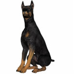 Photo Sculpture KRW Doberman Pinscher<br><div class="desc">Sculpture photo KRW Doberman Pinscher - Peut être un aimant,  un ornement,  un porte - clé,  une épingle ou dans un présentoir</div>