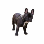 Photo Sculpture La sculpture française Bulldog, idée cadeau<br><div class="desc">Jolie petite sculpture de bulldog noir français.  grande idée cadeau pour amoureux de les chiens,  enfants,  enfants</div>