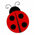 Photo Sculpture Lady Bug<br><div class="desc">Cette sculpture photo est celle d'un bub de femmes. Fabriqué en acrylique avec un support noir, c'est une excellente pièce de conversation. la taille finale est une approximation car elle varie en fonction de la coupe de l'image.</div>