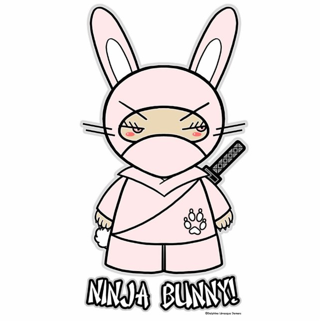 Photo Sculpture Lapin de Ninja ! Sculpture en photo (Devant)