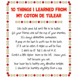 Photo Sculpture Les choses drôles I ont appris de mon coton de