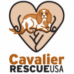 Photo Sculpture Logo cavalier des Etats-Unis de délivrance<br><div class="desc">www.cavalierrescueusa.org</div>