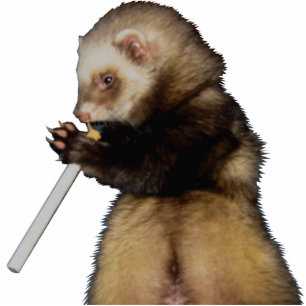 Photo Sculpture M. vilain Woozle