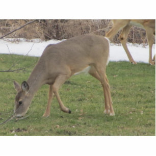 Photo Sculpture Mains de dieux