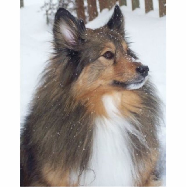 Photo Sculpture Max_1997_-_2009 (Devant)