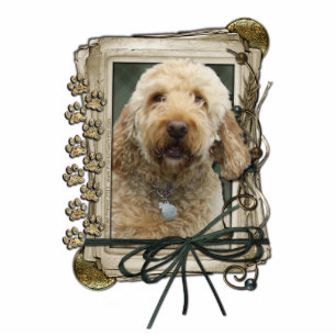 Photo Sculpture Merci - pattes en pierre - GoldenDoodle