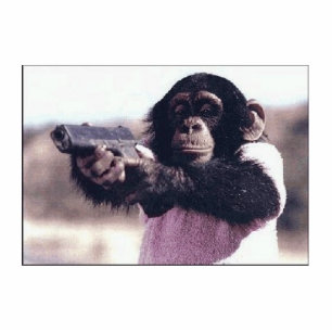 Photo Sculpture Monkeypistolnewone