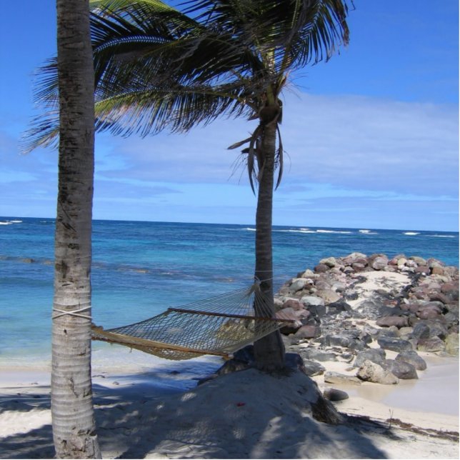 Photo Sculpture Nouvelles années d'hamac de jour (Devant)