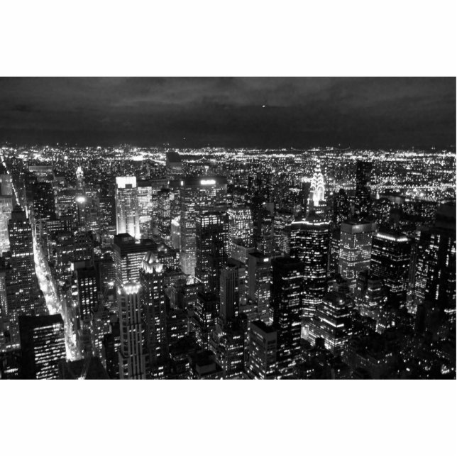 PHOTO SCULPTURE NYC (Devant)