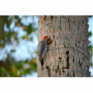 Photo Sculpture oiseau de pic à tête rouge qui regarde dans un pal
